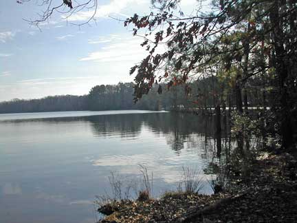 The Reservoir