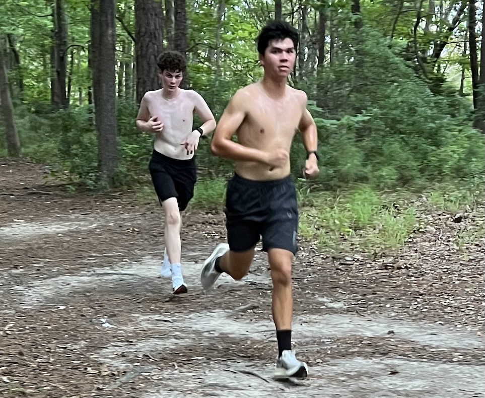 7 and 8