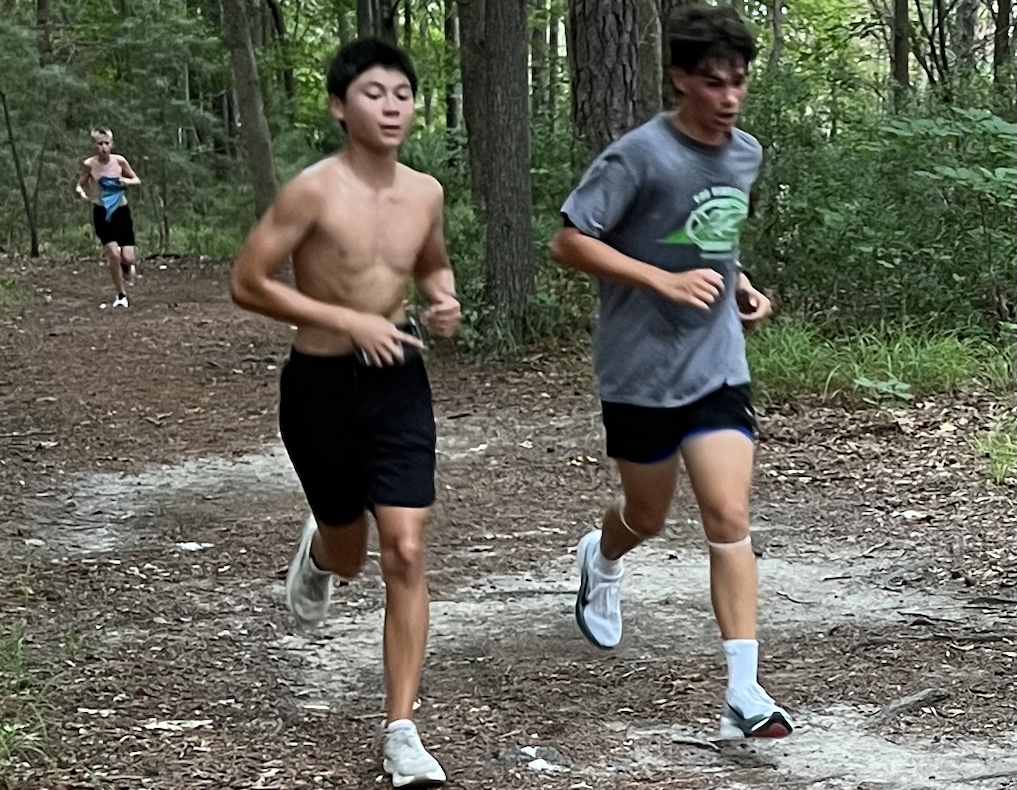12 and 13